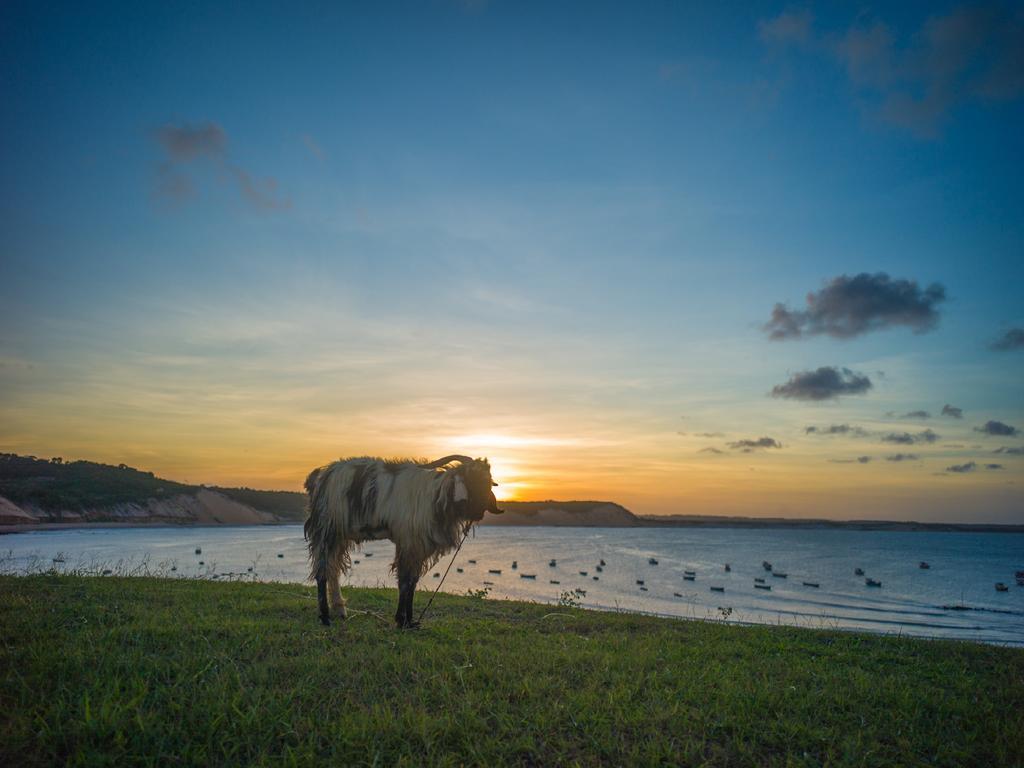 Pousada La Bonita Baía Formosa Exteriér fotografie
