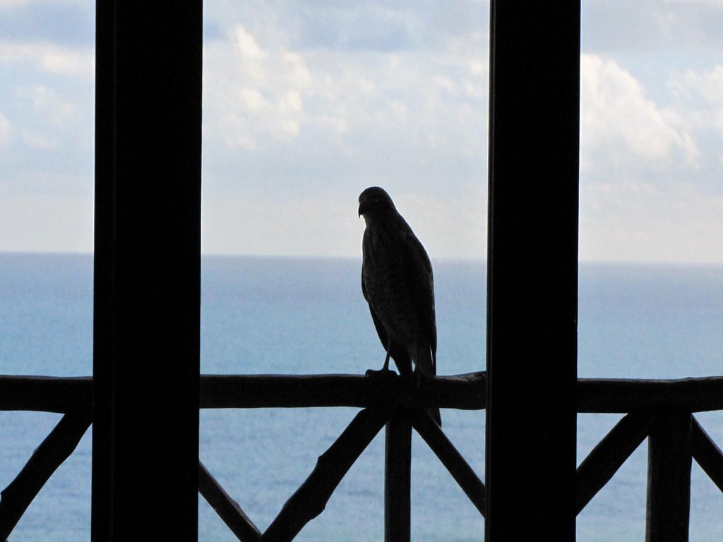 Pousada La Bonita Baía Formosa Exteriér fotografie