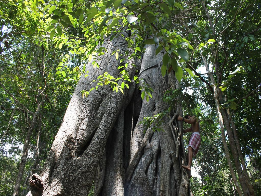 Pousada La Bonita Baía Formosa Exteriér fotografie