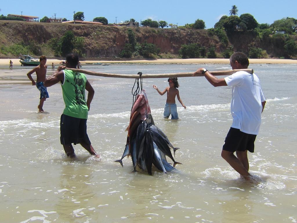 Pousada La Bonita Baía Formosa Exteriér fotografie