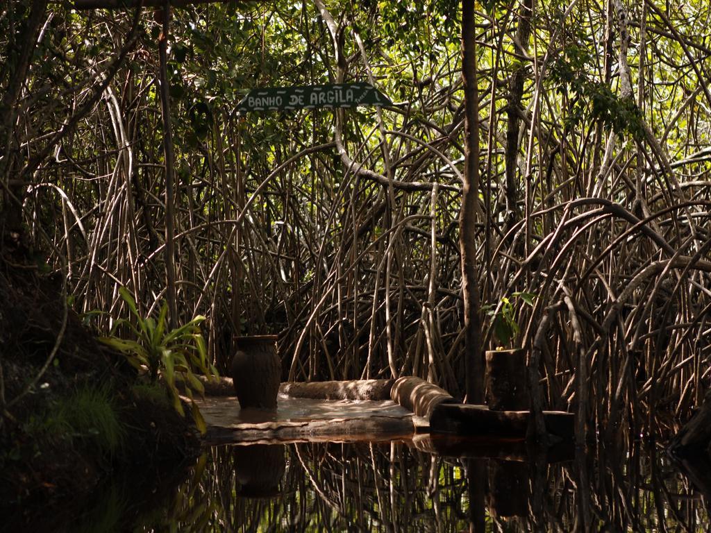 Pousada La Bonita Baía Formosa Exteriér fotografie