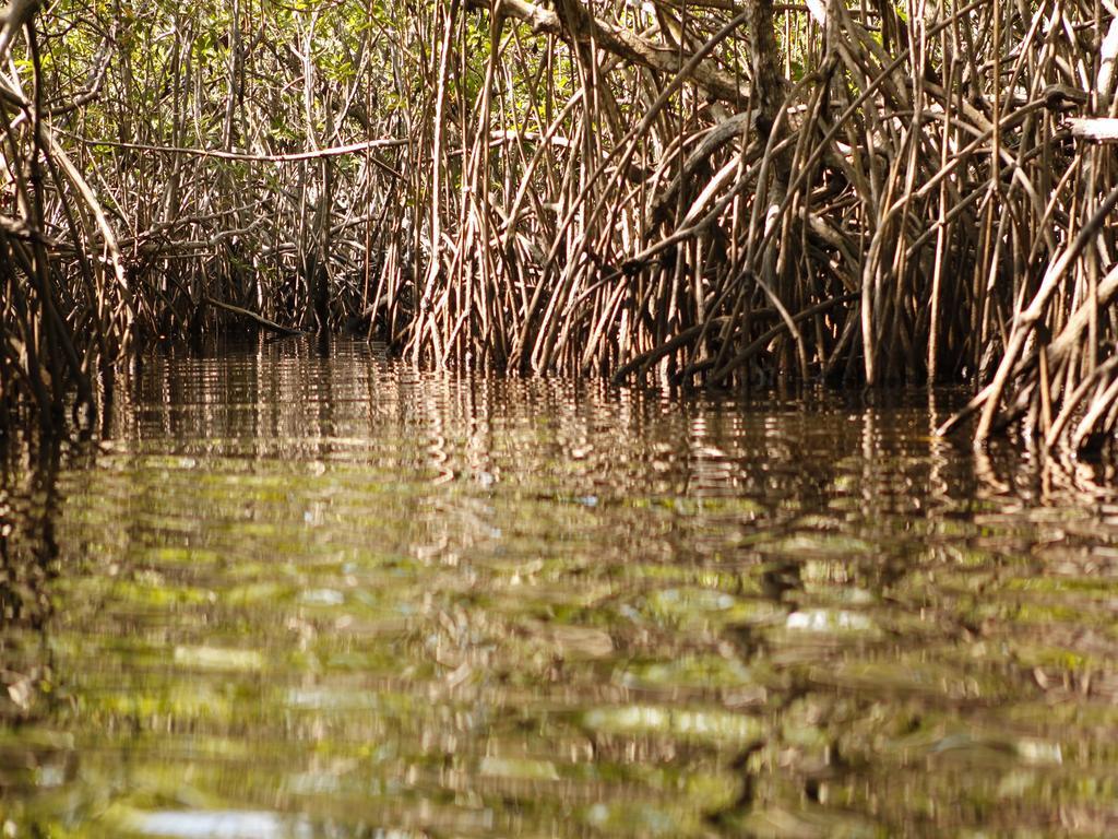 Pousada La Bonita Baía Formosa Exteriér fotografie