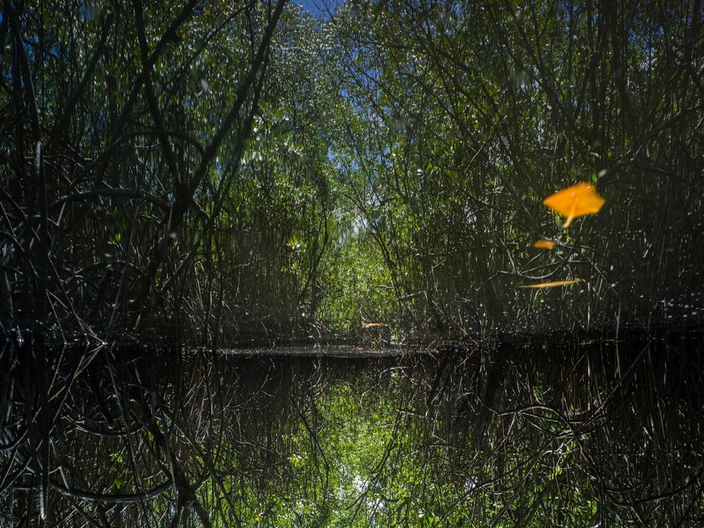 Pousada La Bonita Baía Formosa Exteriér fotografie